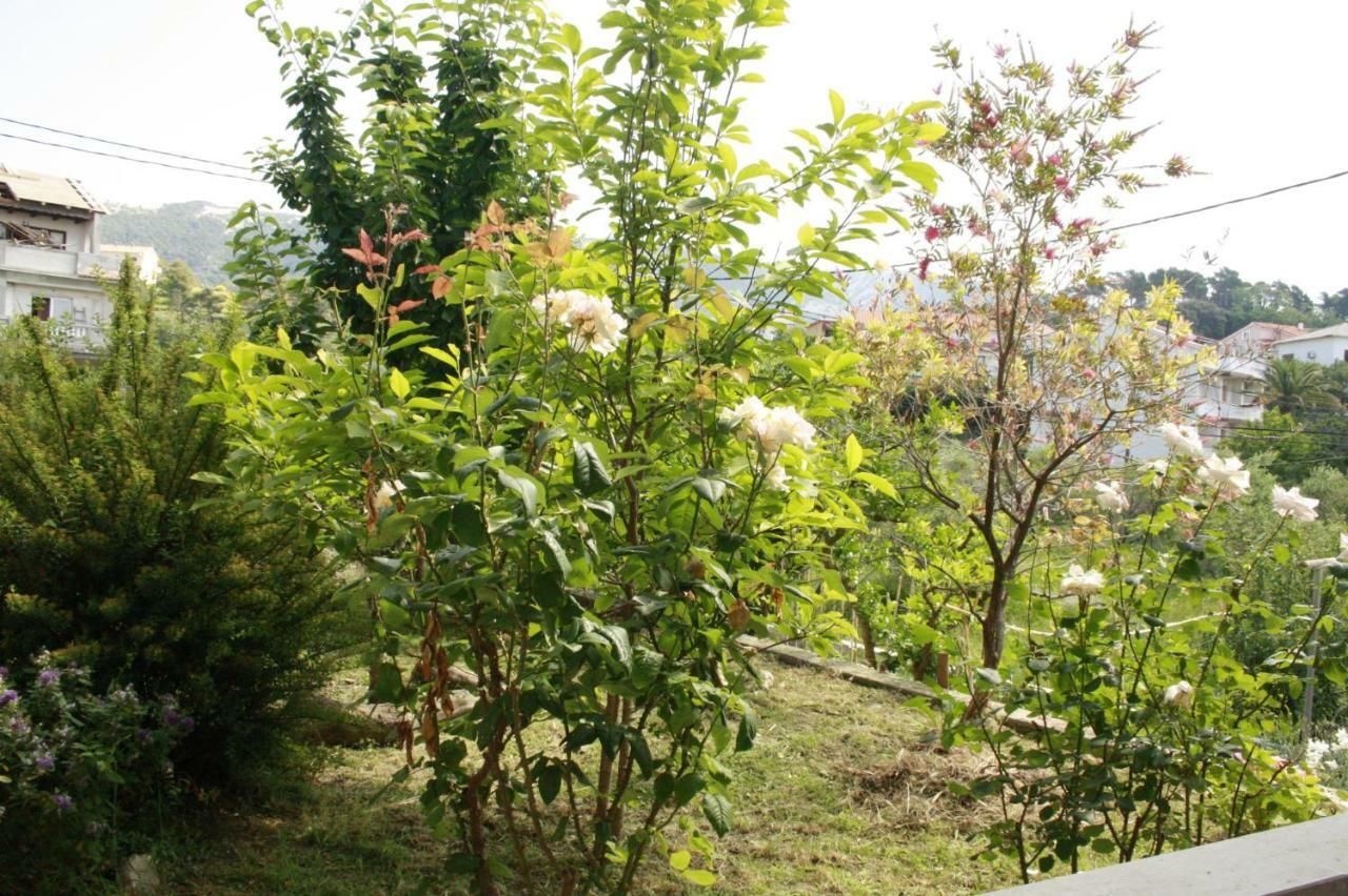 Guesthouse Matusan'S Place Banjol Zewnętrze zdjęcie